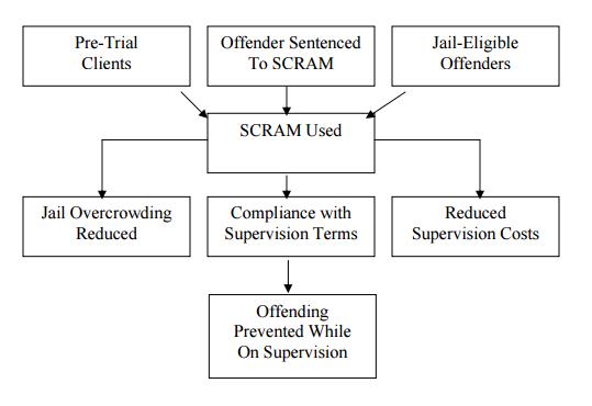 SCRAM logic of use