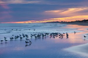 Lawyers who handle OBX Federal Charges in NC
