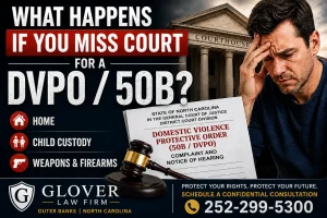 Domestic Violence Protection Order Court