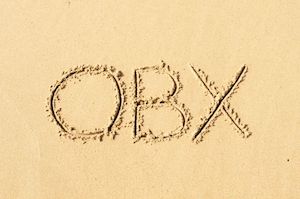 Criminal Court Judgments - Attorney Fees