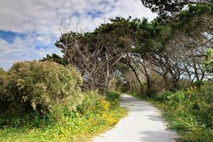 Ocracoke, Hyde County