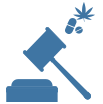 Additional Consequences of a Student Drug Conviction